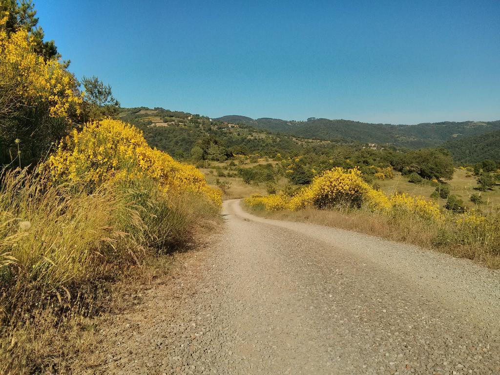 Forte Di Tregognano Chiaveretto Cameră foto